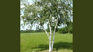 Смотреть клип Мама (Акустическая)