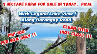 (PROPERTY # 118)1 HECTARE LAGUNA LAKE VIEW FARM FOR SALE IN TANAY, RIZAL ! CLEAN TITLE !