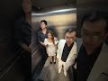 WH | He Was Harassing Her In The Elevator Until[WHITE HERO] #whitehero #GoodDeeds #shorts #trending