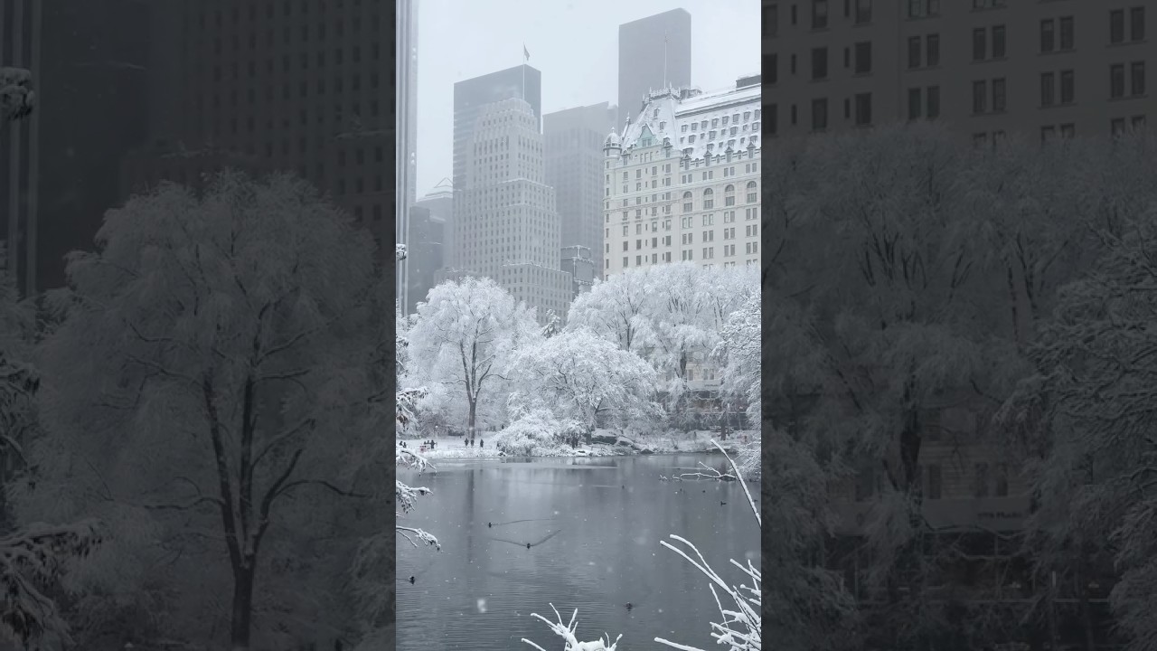 Winter magic in Central Park 