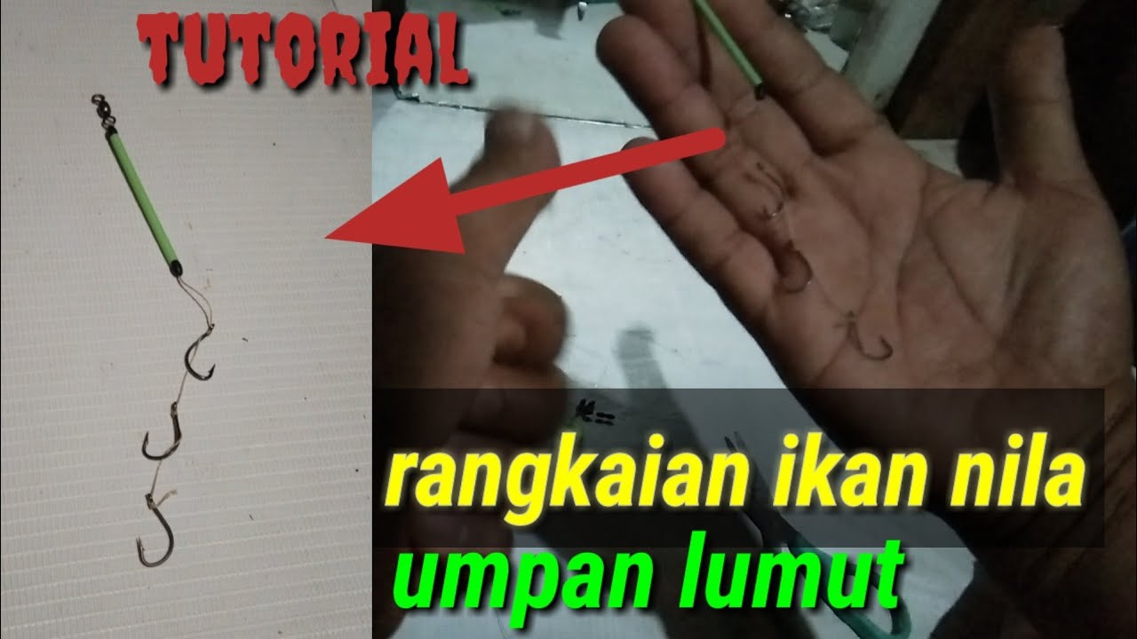 Tutorial. rangkaian pancing ikan nila umpan lumut