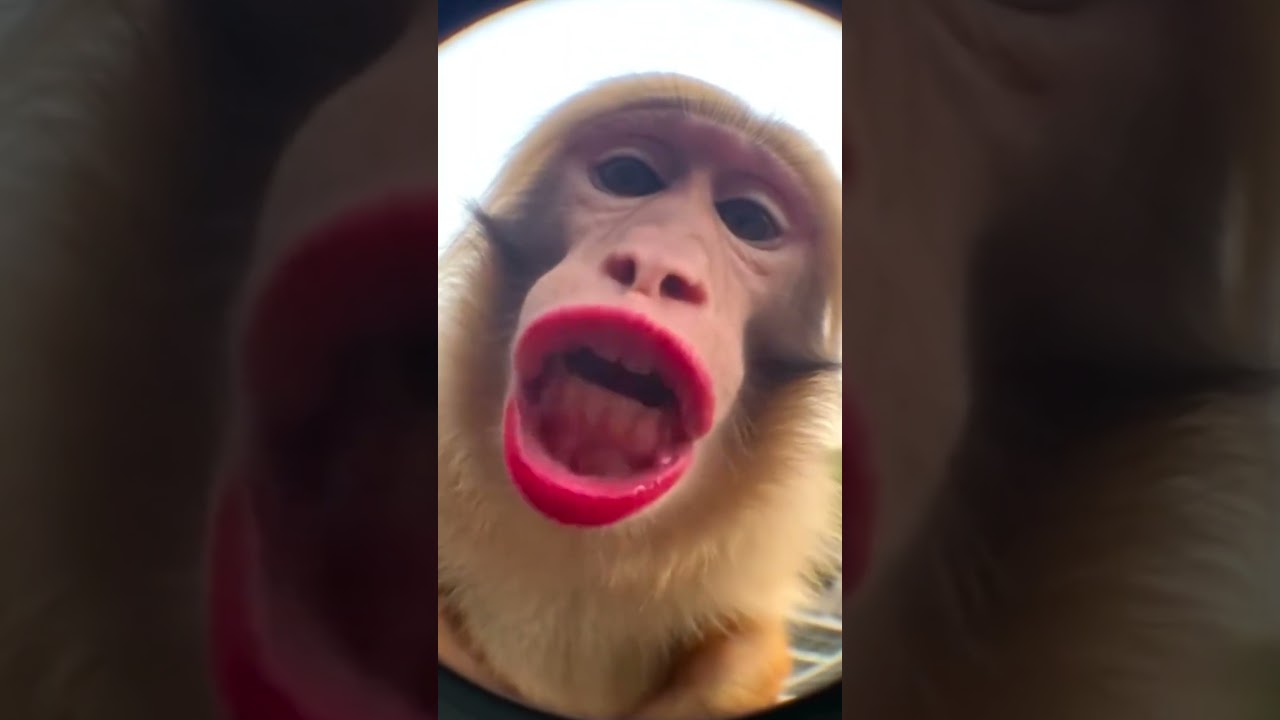 Hey baby 🤣 | Tamil trending couples | 