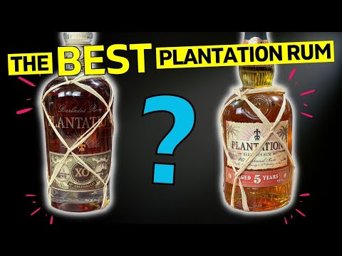 PLANTATION RUM Comparison. Which one should YOU Buy?