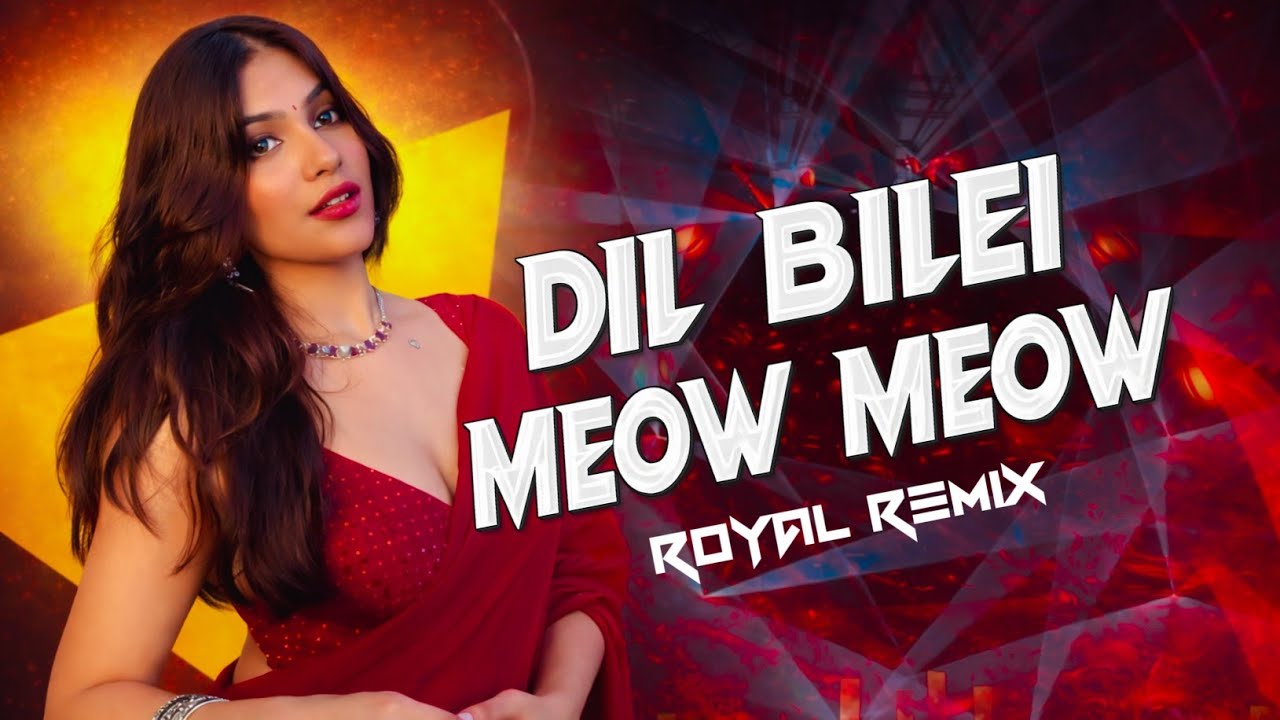 Dil Bilei Meow Meow-Odia Song || Viral Song || Odia Dj Song || Royal Remix 2.0