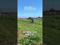 え!? こんなに刈れるの!!ハイガーの自走式草刈機🌱