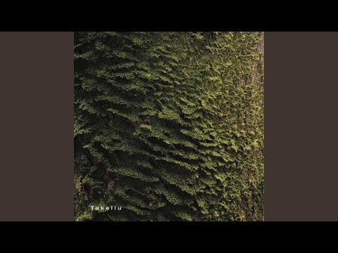 S Gytis — Takeliu