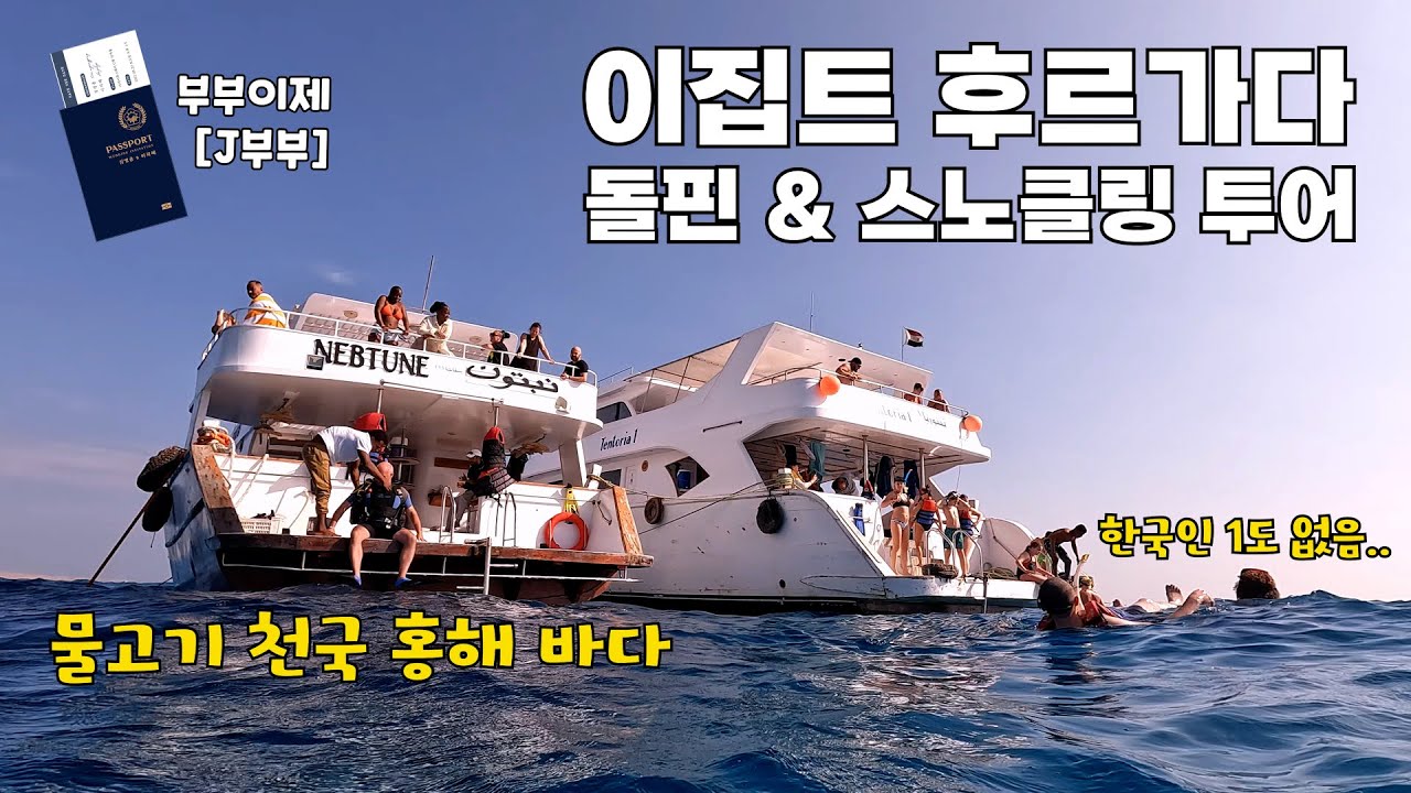 물고기천국 홍해 바다에서 돌핀&스노클링 투어 🇪🇬#7 후르가다(3)