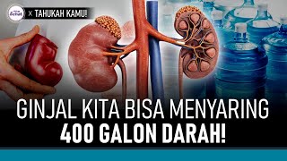 Cara Kerja Ginjal, Tidak Hanya Menyaring Darah | Hidup Sehat tvOne
