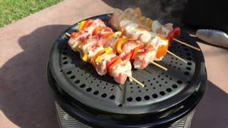 Cobb Grill Review  Best portable grill review