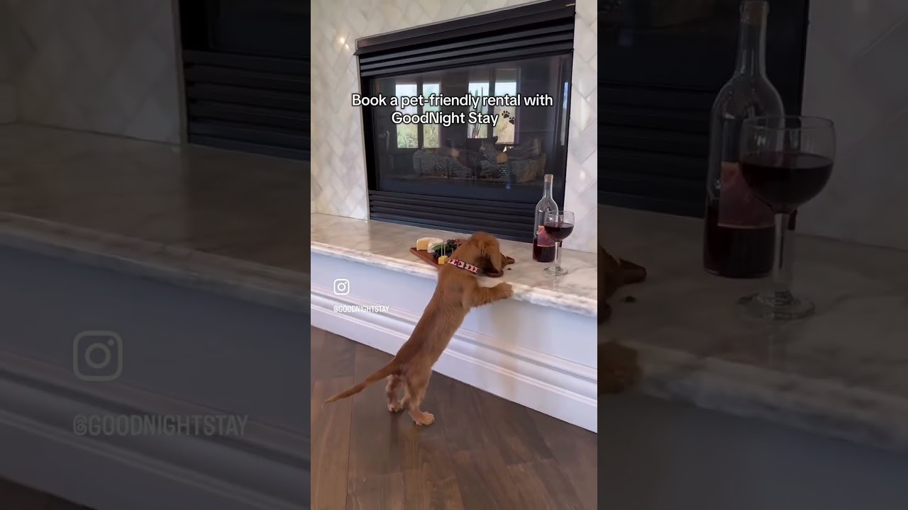 Pet-Friendly Vacation Homes with GoodNight Stay