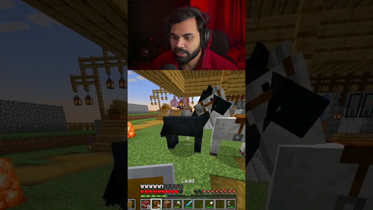 Bidi aka My Horse Got Married 👆 Full Video