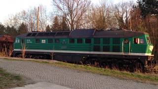 V300 003 mit langen Getreidezug durchfährt Bf.Brandis - Ludmilla Sound