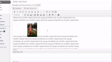 How to set image text alignment in WP