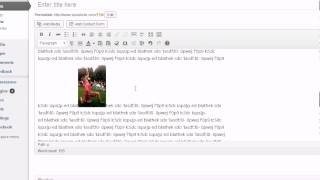 How to set image text alignment in WP