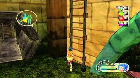 Sudeki red door quest