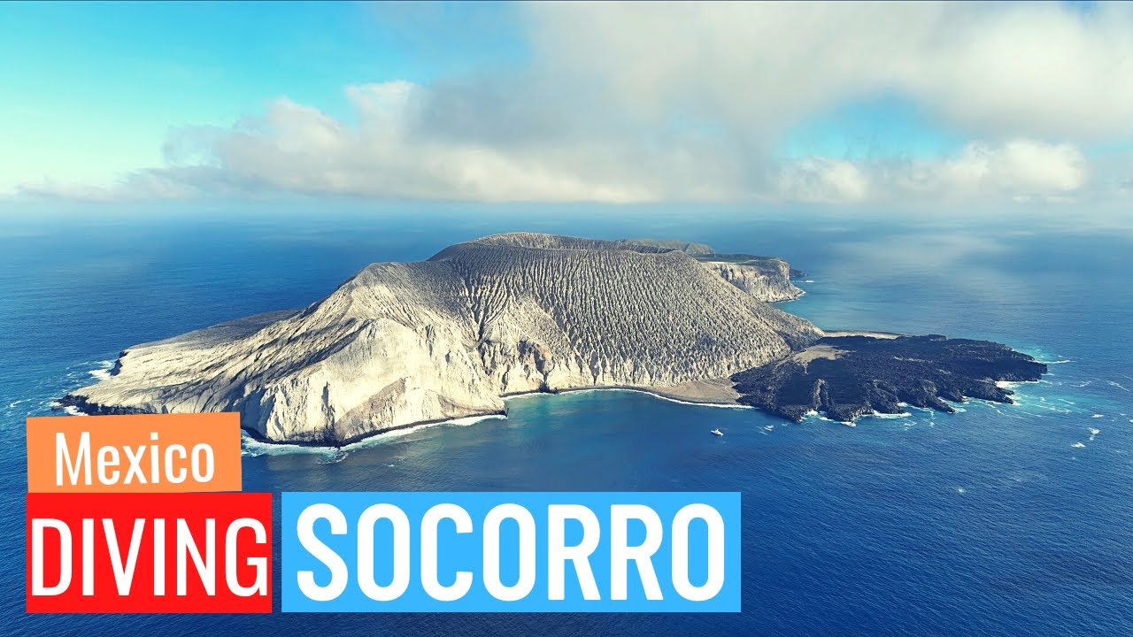 Diving Socorro and the Revillagigedo Archipelago as a Nautilus Explorer