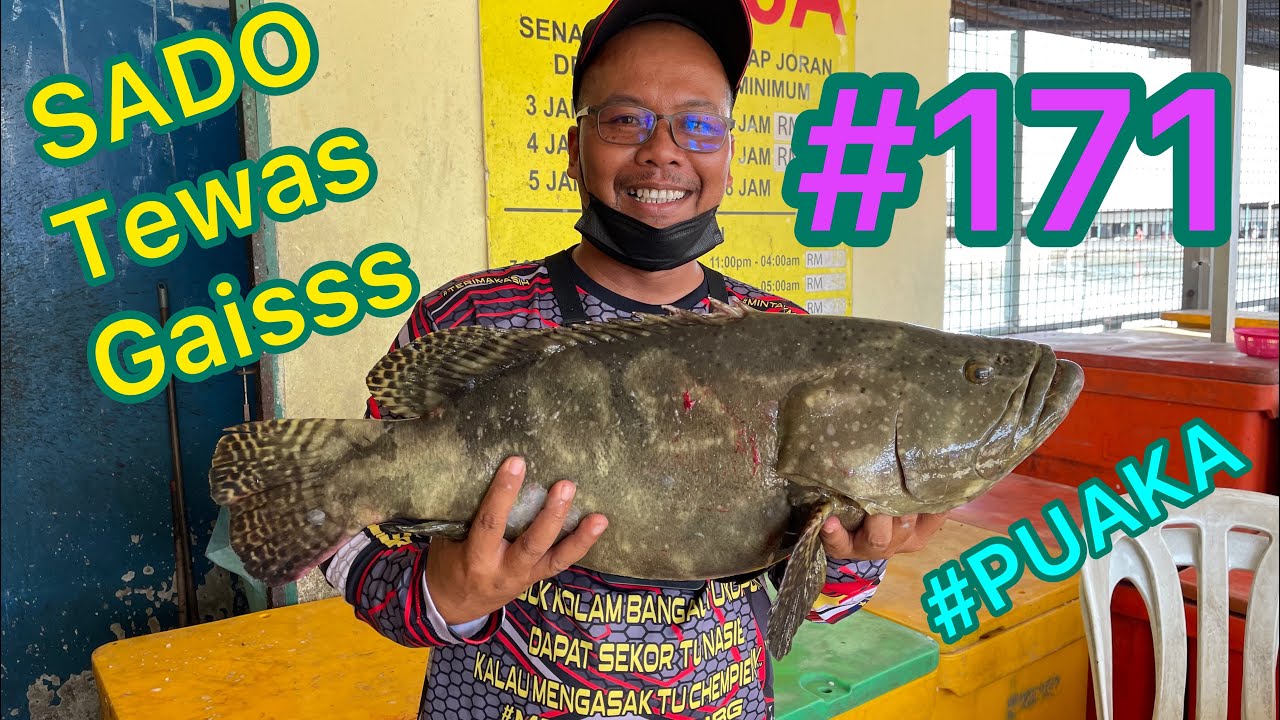 PENANTIAN SATU PENYEKSAAN😆Akhirrrrrnye SADO tewas di kolam PUAKA 🏆Hawauuu punye wak jas👻