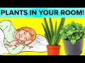 The Bedroom Plants That Will Help You Breathe Easier and Sleep Better