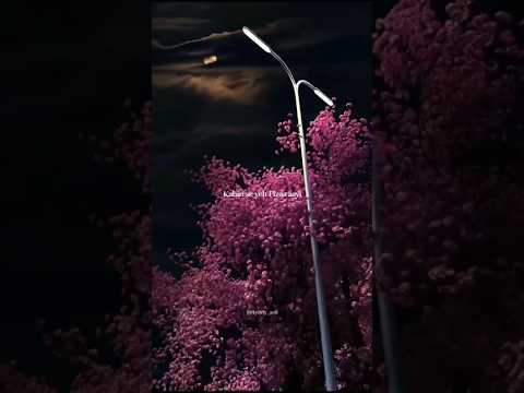 Na Main Janu Na Tu Jaane - Woh Lamhe | lyrics video | Atif Aslam | #love #lyrics #rain