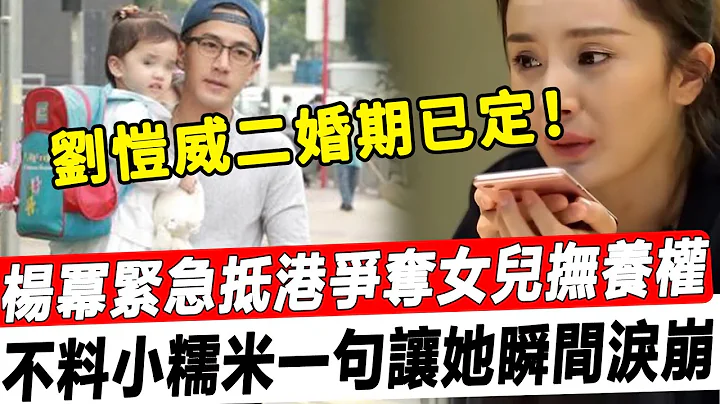 抢女大战！刘恺威觅真爱急欲再婚，杨幂紧急抵港争夺抚养权，不料小糯米的一句话让人泪崩！#星娱乐 - 天天要闻