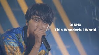 DISH// - This Wonderful World live (한국어 자막)