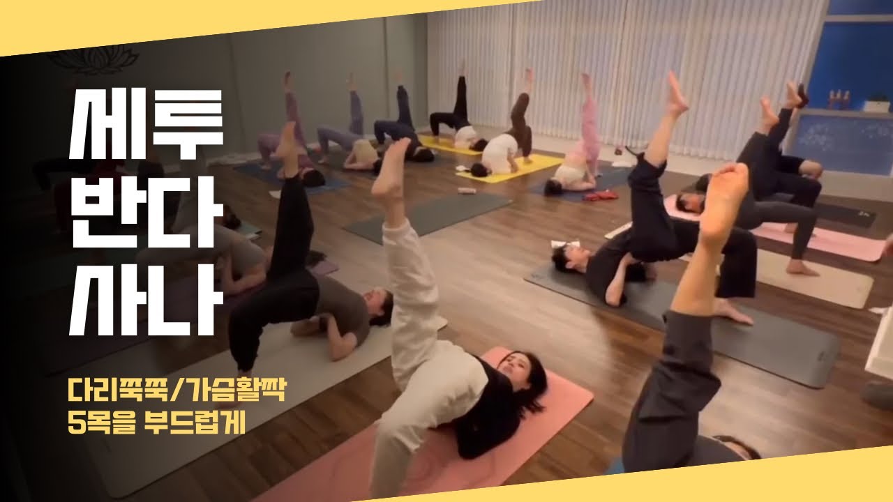 [엔젤요가] 다리를 쭉쭉 | 가슴을 활짝 | 척추에 좋은 스탠딩 후굴아사나