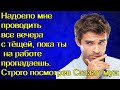 Надоело мне проводить все вечера с тёщей, пока ты на работе пропадаешь. Строго посмотрев Сказал муж