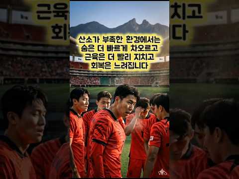 "숨이 안 쉬어져요" 2026 월드컵, 선수들의 '보이지 않는 전쟁' #축구 #football #이슈 #축구 #이슈 #soccer #뉴스