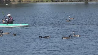 Details Lodi Lake raising fees for parking, beach access, and rentals Guide