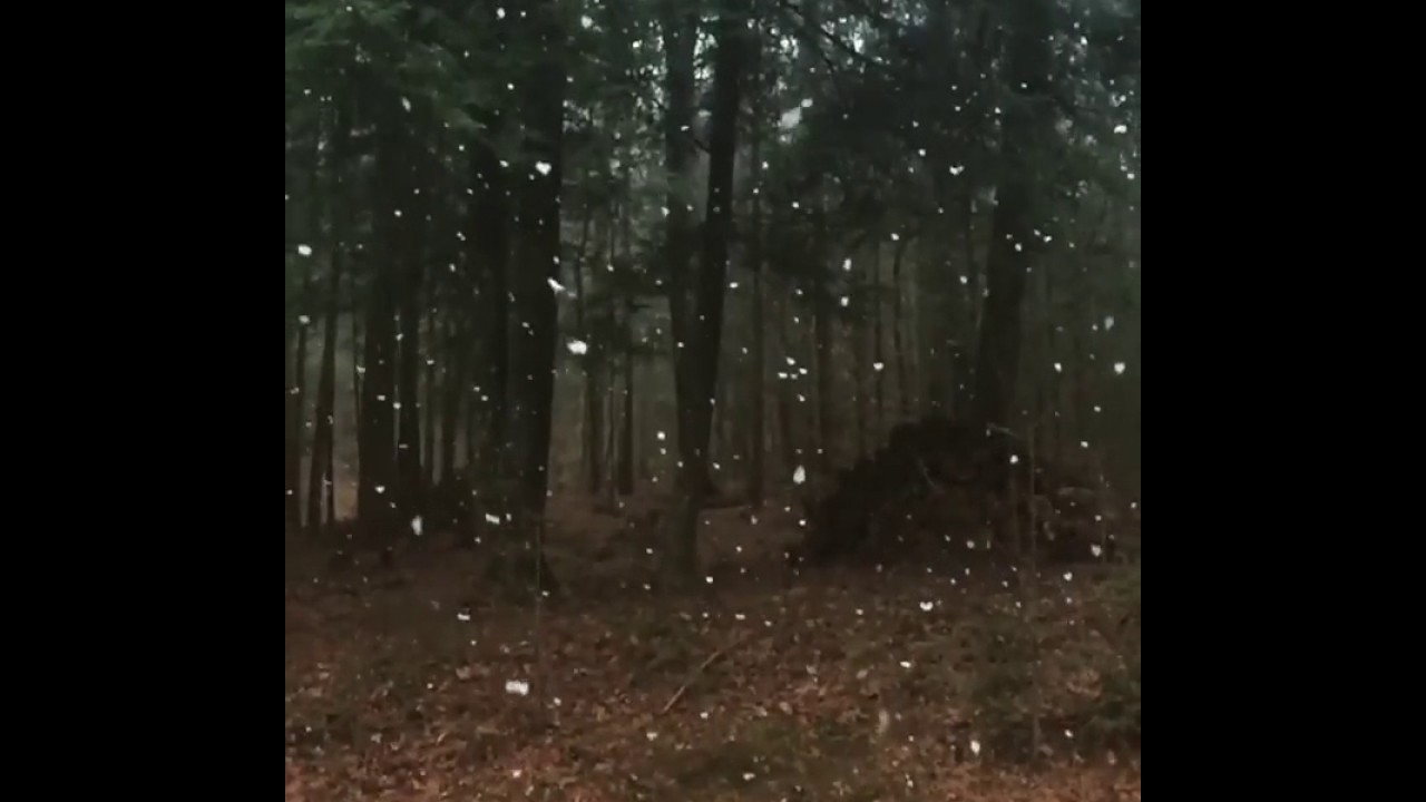 Mulberry Gap Snowfall camera iphone 8 plus apk