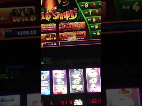 $100/Spin Ferrari 488 Pista in Las Vegas #gambling #bellagio #casino #slots #jackpot