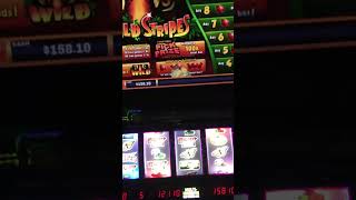 Getting wild with $1.50 bet!!! Lets get wild! #casino #casinolasvegas #fun #slot #ytshorts #vegas screenshot 4