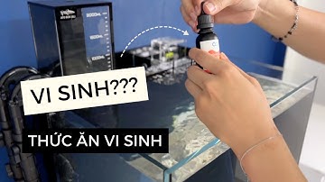 Pha Muối Và Châm Vi Sinh Vào Bể Rinano 45 Pro V3 Để Chạy Cycle - Tập 2 | Rin Aquarium Team