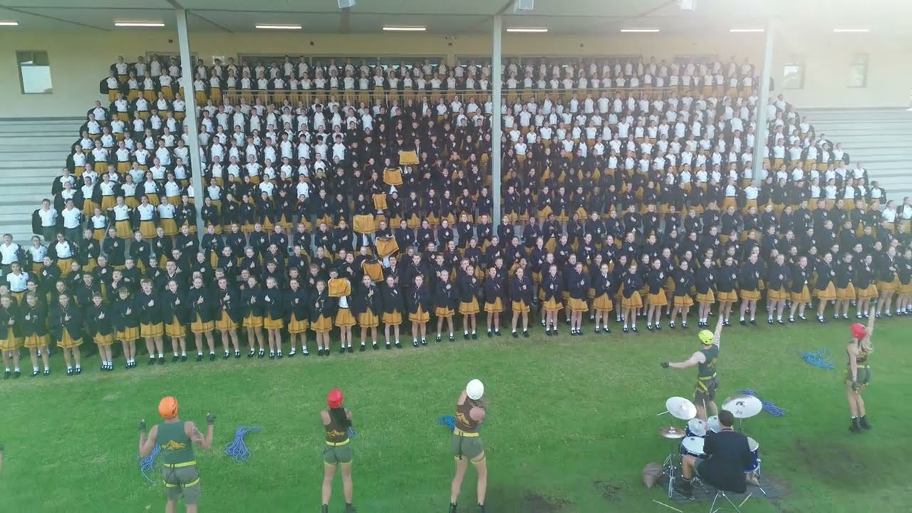 HSD Flashes for the win