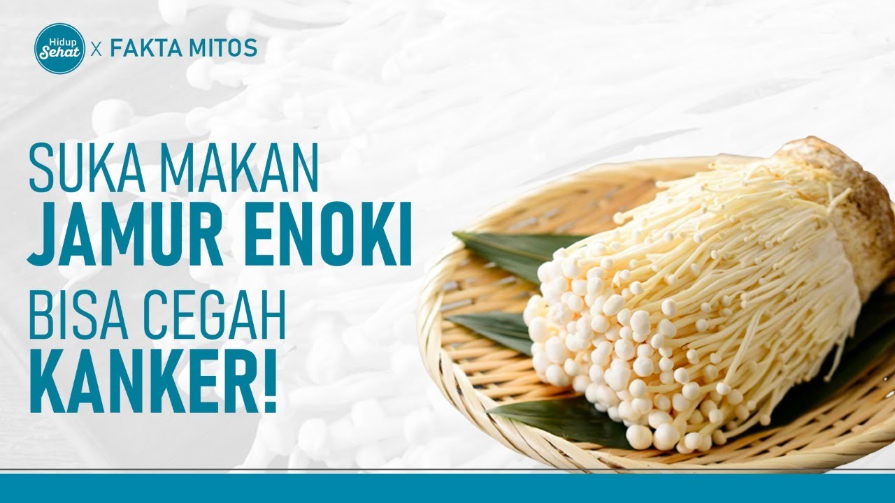 Jamur Enoki Lezat dan Bermanfaat Untuk Cegah Kanker! Hidup Sehat tvOne YouTube