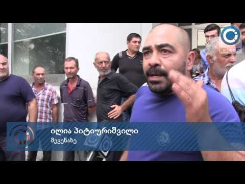 გურჯაანის გამგეობასთან მევენახეები აქციას მართავენ - აქციის მესამე დღე