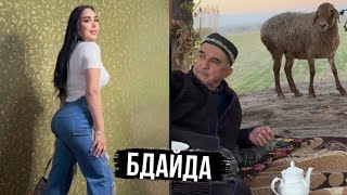 Таджикские Приколы Vine / Приколи Тоҷики - 2024 #326