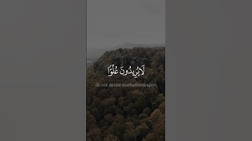 تلك الدار الأخرة - #سعود_الشريم #سورة_القصص