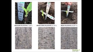 Ep.- 8.5 - Seeing the Sweet Spot for Corn Planting Depth