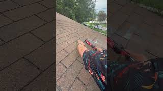 IMG 1217