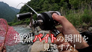 後編】本流の大型トラウトとの強烈バイトに新製品の本流ロッド”ROMAN