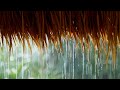 Acoustic Guitar With Rain And Thunderstorm Sounds For Sleep Relaxing Music Peaceful Music 