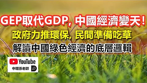 碳税来了！GEP取代GDP，中国经济变天！政府力推环保，民间准备吃草，解读中国绿色经济的底层逻辑｜政经孙老师 - 天天要闻