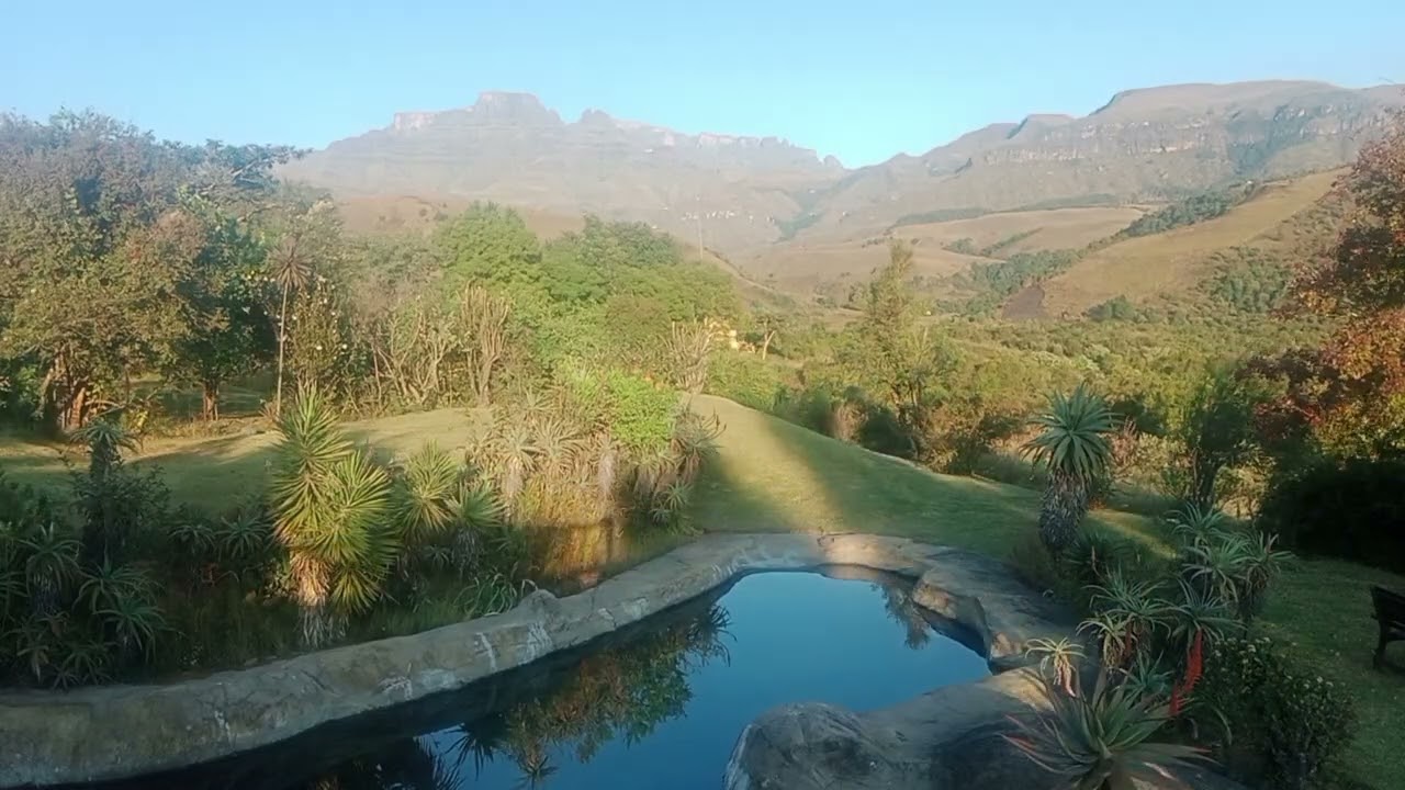 Champagne castle by the pool @5am