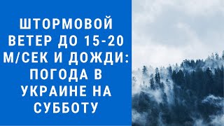 Погода на завтра, погода 19 февраля