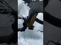 Explore and harvest 3 giant honeycombs