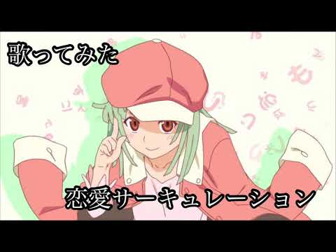 【歌ってみた】恋愛サーキュレーション【カラオケ】
