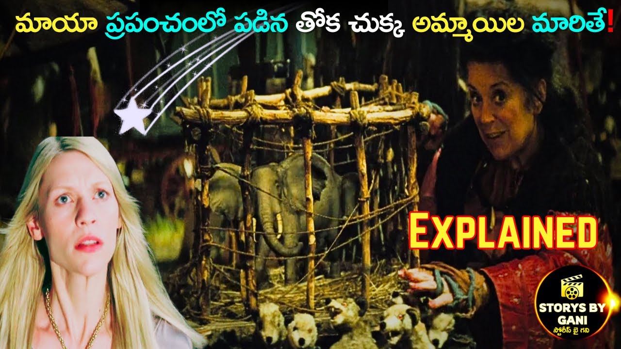 మాయా ప్రపంచంలో పడిన తోకచుక్క అమ్మాయిల మారితే! Movie Explanation | @Storysbygani ❤️‍🔥