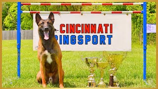 The Greatest Accomplishment Of My Belgian Malinois' Career! French Ring 3 Title! by Andy Krueger Dog Training  5,594 views 10 months ago 2 minutes, 13 seconds