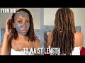 How I Reattached My 6 inch Locs (from Bob to Waist Length) | Detailed Tutorial